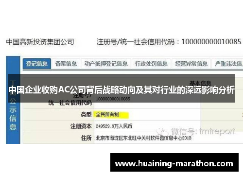 中国企业收购AC公司背后战略动向及其对行业的深远影响分析
