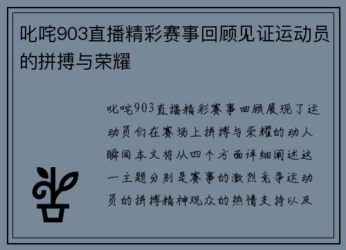 叱咤903直播精彩赛事回顾见证运动员的拼搏与荣耀