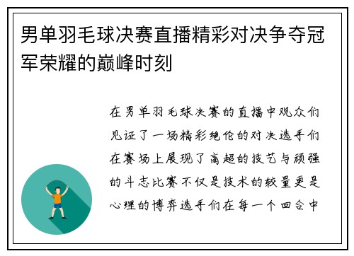 男单羽毛球决赛直播精彩对决争夺冠军荣耀的巅峰时刻